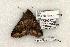  ( - 1353-100603-TX)  @13 [ ] Copyright (2008) Unspecified Research Collection of Robert J. Borth