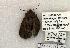  ( - 1354-170598-WI)  @12 [ ] Copyright (2008) Unspecified Research Collection of Robert J. Borth