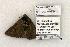  ( - 1355-160598-WI)  @13 [ ] Copyright (2008) Unspecified Research Collection of Robert J. Borth