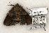  ( - 1358-270504-TX)  @13 [ ] Copyright (2008) Unspecified Research Collection of Robert J. Borth