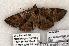  ( - 1361-160598-WI)  @13 [ ] Copyright (2008) Unspecified Research Collection of Robert J. Borth