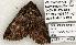  ( - 1366-170598-WI)  @12 [ ] Copyright (2008) Unspecified Research Collection of Robert J. Borth