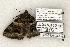  ( - 1369-230603-AZ)  @12 [ ] Copyright (2008) Unspecified Research Collection of Robert J. Borth