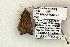  ( - 1393-090504-TX)  @12 [ ] Copyright (2008) Unspecified Research Collection of Robert J. Borth