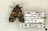 ( - 1394-160504-TX)  @13 [ ] Copyright (2008) Unspecified Research Collection of Robert J. Borth