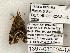  ( - 1397-030604-TX)  @12 [ ] Copyright (2008) Unspecified Research Collection of Robert J. Borth