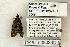  ( - 1398-150802-IN)  @12 [ ] Copyright (2008) Unspecified Research Collection of Robert J. Borth