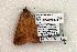  ( - 1414-190505-FL)  @13 [ ] Copyright (2008) Unspecified Research Collection of Robert J. Borth