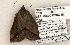  ( - 1419-170504-TX)  @12 [ ] Copyright (2008) Unspecified Research Collection of Robert J. Borth