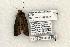  ( - 1429-290405-FL)  @13 [ ] Copyright (2008) Unspecified Research Collection of Robert J. Borth