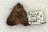  ( - 1432-110602-OK)  @13 [ ] Copyright (2008) Unspecified Research Collection of Robert J. Borth