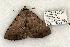  ( - 1433-150602-MO)  @13 [ ] Copyright (2008) Unspecified Research Collection of Robert J. Borth