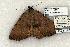 ( - 1434-110802-IN)  @13 [ ] Copyright (2008) Unspecified Research Collection of Robert J. Borth