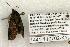  ( - 1441-110702-KY)  @13 [ ] Copyright (2008) Unspecified Research Collection of Robert J. Borth