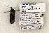  ( - 1444-120702-KY)  @13 [ ] Copyright (2008) Unspecified Research Collection of Robert J. Borth