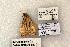  ( - 1475-CO1-06)  @13 [ ] Copyright (2008) Unspecified Research Collection of Robert J. Borth