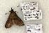  ( - 1491-CO1-06)  @13 [ ] Copyright (2008) Unspecified Research Collection of Robert J. Borth