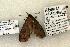  ( - 1494-CO1-06)  @13 [ ] Copyright (2008) Unspecified Research Collection of Robert J. Borth