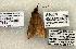  ( - 1495-CO1-06)  @13 [ ] Copyright (2008) Unspecified Research Collection of Robert J. Borth