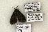  ( - 1499-CO1-06)  @13 [ ] Copyright (2008) Unspecified Research Collection of Robert J. Borth