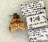  ( - 1500-CO1-06)  @13 [ ] Copyright (2008) Unspecified Research Collection of Robert J. Borth
