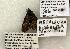  ( - 1506-CO1-06)  @13 [ ] Copyright (2008) Unspecified Research Collection of Robert J. Borth