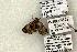  ( - 1509-CO1-06)  @13 [ ] Copyright (2008) Unspecified Research Collection of Robert J. Borth