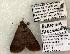  ( - 1517-CO1-06)  @13 [ ] Copyright (2008) Unspecified Research Collection of Robert J. Borth