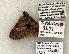 ( - 1523-CO1-06)  @13 [ ] Copyright (2008) Unspecified Research Collection of Robert J. Borth