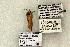  ( - 1531-CO1-06)  @13 [ ] Copyright (2008) Unspecified Research Collection of Robert J. Borth