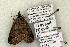  ( - 1532-CO1-06)  @13 [ ] Copyright (2008) Unspecified Research Collection of Robert J. Borth