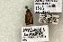  ( - 1555-CO1-06)  @13 [ ] Copyright (2008) Unspecified Research Collection of Robert J. Borth