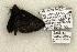  ( - 1160-060694-VA)  @12 [ ] Copyright (2008) Unspecified Research Collection of Robert J. Borth