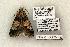  ( - 1382-130603-TX)  @12 [ ] Copyright (2008) Unspecified Research Collection of Robert J. Borth
