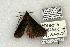  ( - 1386-100603-TX)  @12 [ ] Copyright (2008) Unspecified Research Collection of Robert J. Borth