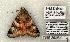 ( - 1388-260503-TX)  @13 [ ] Copyright (2008) Unspecified Research Collection of Robert J. Borth