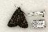  ( - 1390-270504-TX)  @13 [ ] Copyright (2008) Unspecified Research Collection of Robert J. Borth