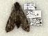  ( - 1455-CO1-06)  @12 [ ] Copyright (2008) Unspecified Research Collection of Robert J. Borth