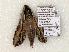  ( - 1456-CO1-06)  @12 [ ] Copyright (2008) Unspecified Research Collection of Robert J. Borth