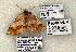  ( - 1458-CO1-06)  @13 [ ] Copyright (2008) Unspecified Research Collection of Robert J. Borth