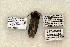  ( - 1462-CO1-06)  @13 [ ] Copyright (2008) Unspecified Research Collection of Robert J. Borth