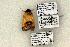  ( - 1465-CO1-06)  @12 [ ] Copyright (2008) Unspecified Research Collection of Robert J. Borth