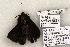  ( - 1167-120794-VA)  @13 [ ] Copyright (2008) Unspecified Research Collection of Robert J. Borth