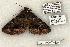  ( - 1171-100603-TX)  @13 [ ] Copyright (2008) Unspecified Research Collection of Robert J. Borth