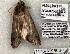  ( - 1176-300503-TX)  @12 [ ] Copyright (2008) Unspecified Research Collection of Robert J. Borth