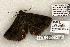  ( - 1178-080603-TX)  @13 [ ] Copyright (2008) Unspecified Research Collection of Robert J. Borth