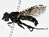  ( - BIOUG91310-H04)  @11 [ ] CreativeCommons - Attribution (2022) CBG Photography Group Centre for Biodiversity Genomics