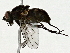  ( - BIOUG91349-E01)  @11 [ ] CreativeCommons - Attribution (2022) CBG Photography Group Centre for Biodiversity Genomics