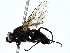  ( - BIOUG91350-A07)  @11 [ ] CreativeCommons - Attribution (2022) CBG Photography Group Centre for Biodiversity Genomics