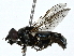  ( - BIOUG91350-C10)  @11 [ ] CreativeCommons - Attribution (2022) CBG Photography Group Centre for Biodiversity Genomics